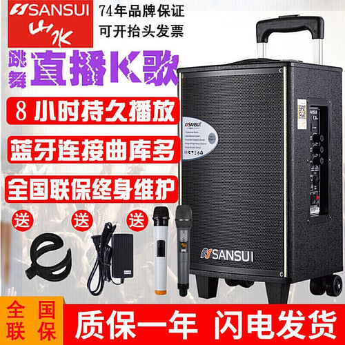 山水（SANSUI） 广场舞音响直播K歌户外拉杆网红音箱便携式大功率家用移动蓝牙音箱带无线话筒麦克风 SA1-10英寸（双无线话筒套餐）