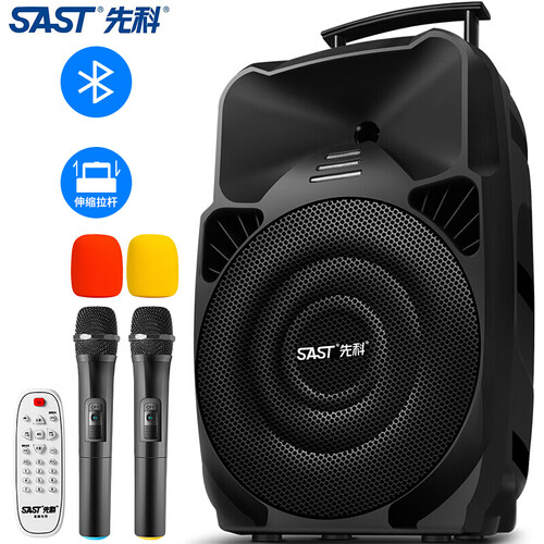 先科（SAST）A89WM 12英寸大功率重低音广场舞音响 移动舞台户外蓝牙拉杆音箱 扩音器 带二个无线麦克风