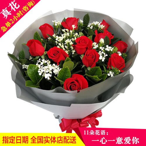 花景澜 红玫瑰花束鲜花速递 同城送花11/19/33朵康乃馨满天星礼盒生日情人节礼物深圳北京广东大连 11朵红玫瑰花束（热卖推荐） 日常价