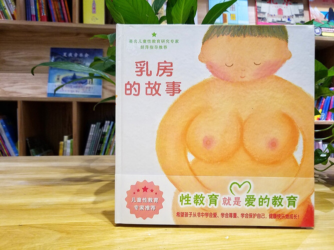乳房的故事 让女孩子学会保护自己的绘本 儿童安全教育和性教育必备 幼儿园指定书单必备 蒲蒲兰绘本 性教育绘本