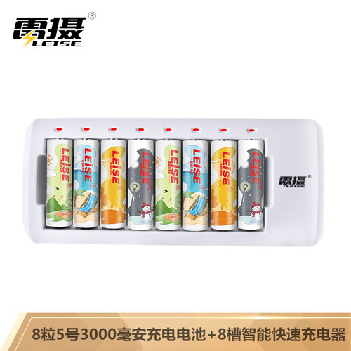 雷摄 LEISE 升级版C818多槽智能快速独立充电套装(白色)(配8节5号3000毫安充电电池+8槽位充电器）玩具麦克风