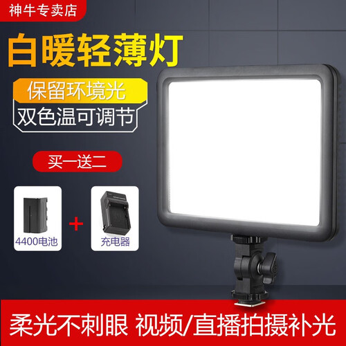 神牛（Godox）LED120C补光灯主播灯可调色温摄像灯摄影摄像LED平板柔灯单反相机录像灯 套餐B（LED灯+4400电池+充电器）