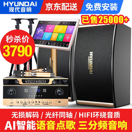 现代（HYUNDAI）家庭影院ktv音响套装家用语音点歌机一体机卡拉ok点唱机专业K歌音响设备组合 标配KTV音响套装（2T） 图片色