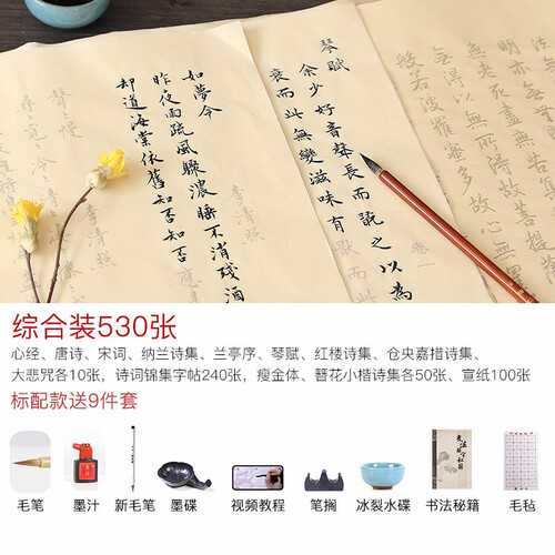 长书小楷毛笔字帖书法入门临摹宣纸描红心经抄经本佛经大悲咒手抄本初学者成人练毛笔字楷书软笔文房套装 综合530张（送毛笔 墨汁等9样