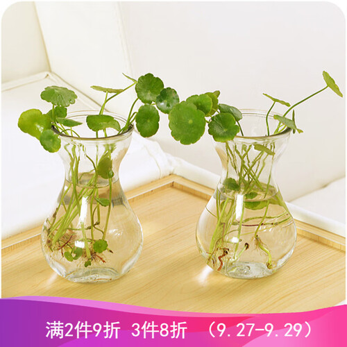 玻璃瓶 透明水培容器水仙花瓶玻璃水培瓶插植物花瓶 透明7.3*14.5*5.5cm 单个