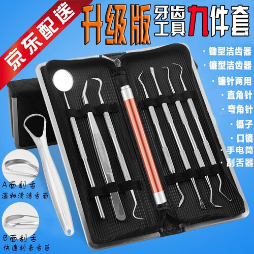 剔牙工具 牙镜非牙科工具剔牙器洁牙缝刮牙石去除牙结石牙渍牙垢清除器冲洗牙齿清洁器口腔护理家用套装 黑皮套9件套