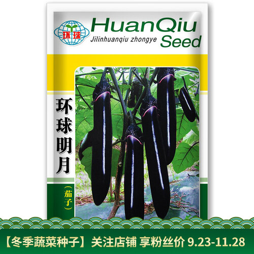 凤鸣雅世蔬菜种子黑长线茄杭茄圆茄花茄子种子春夏秋四季蔬菜种子阳台盆栽高产水果种子 蔬菜种籽  菜籽 环球明月黑长茄子5克