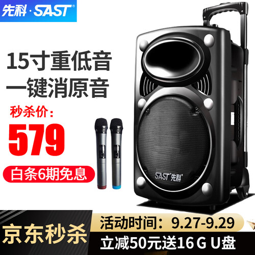 先科（SAST） 【京东秒杀】 15寸大功率广场舞音响拉杆音箱户外音箱便携式蓝牙手提无线话筒重低音 15寸旗舰版+无线手麦2支