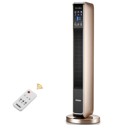 海尔（haier） 取暖器家用暖风机立式电暖风浴室热风电暖器节能省电速热电暖气烤火炉 豪华加大款 豪华加大遥控款HNS2201A