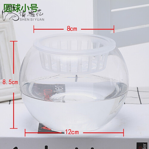 慎思苑 玻璃花盆 水培植物玻璃花瓶透明风信子花盆绿萝富贵竹水养鱼缸器皿大号容器-网 12圆球小号 中等