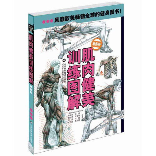 肌肉健美训练图解（修订版）新老包装随机发放