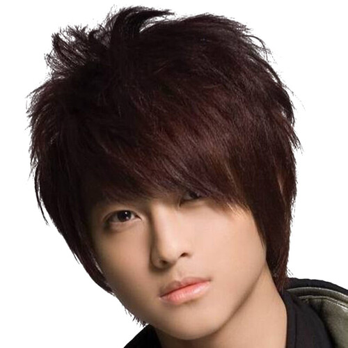 贝丽丝（PRESTIGE） 王子同款完美男人男假发韩版帅气帅哥男发男士男式男生杀马特短发 黑色-自然黑