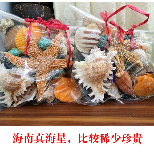 海南天然海螺海星贝壳套装装饰旅游礼物家庭装饰摆件 鱼缸造景元素 六一儿童节礼物送孩子520情人节礼物 一袋约25个