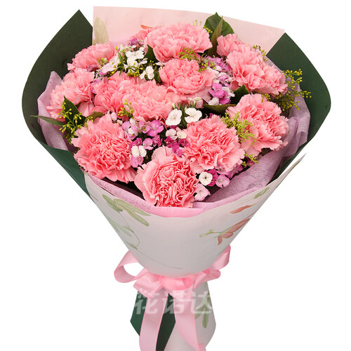 花诺达康乃馨百合花束生日礼物送妈妈老师北京上海武汉深圳成都杭州重庆沈阳广州西安郑州天津鲜花速递同城 J款 11朵粉康乃馨花束 平时价格