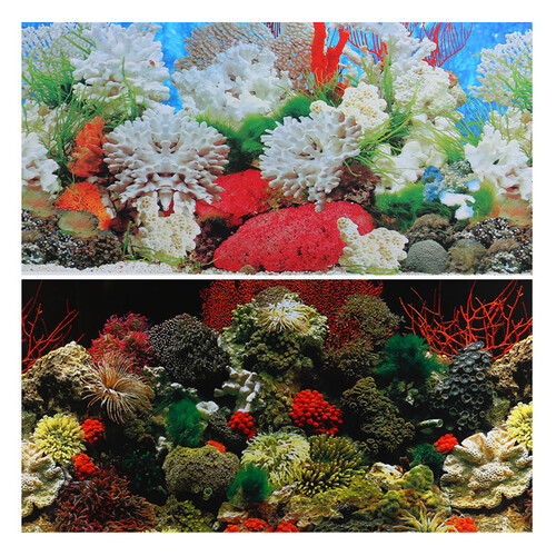 森森鱼缸背景纸水族箱装饰背景画鱼缸造景背景图壁纸 40高52长 白珊瑚画