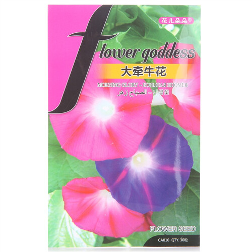 京东超市花儿朵朵 大牵牛花 混色 花卉种子 家庭阳台/办公室盆栽 30粒/袋