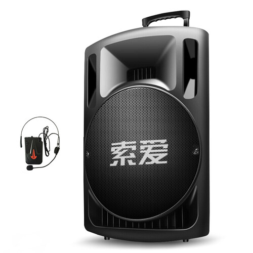 索爱（soaiy） SA-T29户外15寸大功率重低音广场舞音响移动K歌唱歌拉杆音箱 15寸震撼低音+无线耳麦