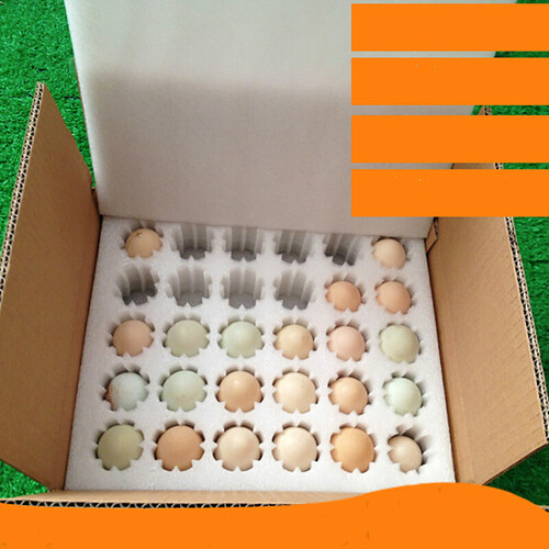 珍珠棉土草鸡蛋托防震碎水果类定制包装礼品盒箱快递泡沫棉板 60枚中号蛋托+纸箱