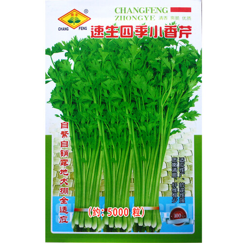 花先知 蔬菜种子 大叶菠菜 香菜 朝天椒 大甜椒 奶油生菜 红心萝卜小青菜 种子 彩色包装 正规厂家 四季小香芹种子 1 包（原厂包装）