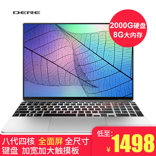 戴睿（dere） R9s 15.6英寸超轻薄窄边框笔记本电脑 全新四核便携手提学生商务办公游戏上网本 银色 【热卖】8G内存 256G固态+2000G硬盘