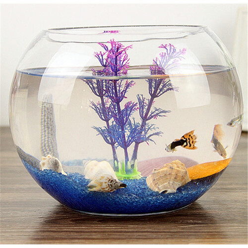 透明圆缸圆形金鱼缸水族箱创意玻璃鱼缸金鱼缸水培缸花瓶 20球腰部直接彩石+渔捞