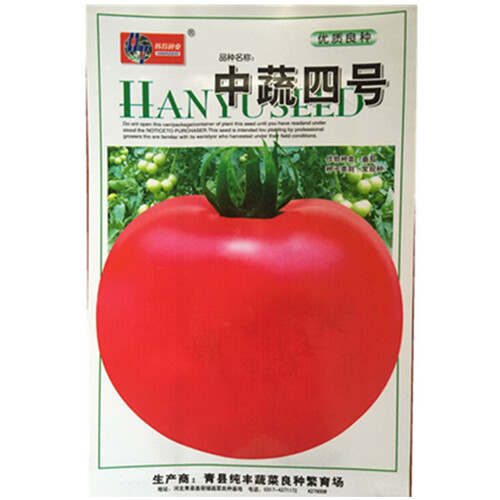 大番茄种子 蔬菜西红柿种子 阳台种菜 盆栽高出芽率 大番茄原包装