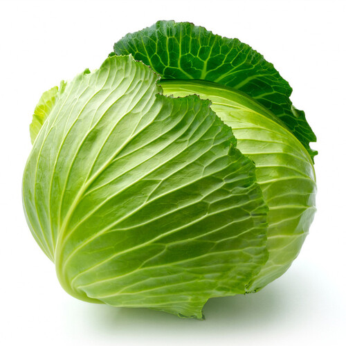 一播大地 包菜/卷心菜 结球甘蓝 阳台种菜盆栽蔬菜种子 高出芽率 包菜 原装
