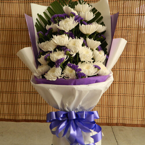 初卉 菊花鲜花 扫墓祭奠追悼鲜花 清明节重阳节祭祀鲜花 花圈 B款19朵白色菊花