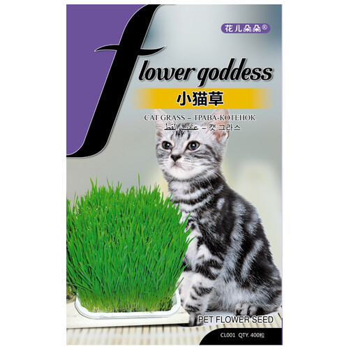 京东超市花儿朵朵 小猫草 蔬菜种子 家庭阳台/办公室盆栽 400粒/袋
