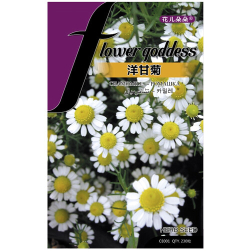京东超市花儿朵朵 洋甘菊 白色 香草花卉种子 家庭阳台/办公室盆栽 230粒/袋