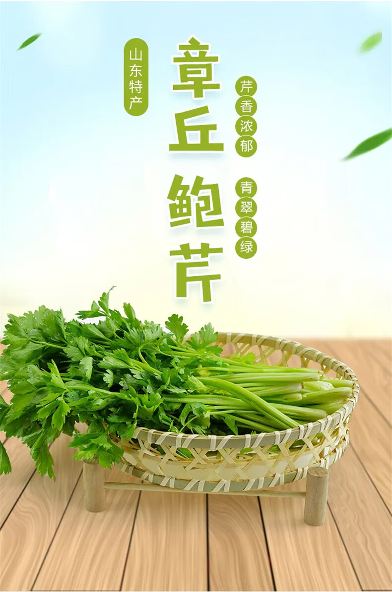 顺丰发货章丘本地鲍芹新鲜蔬菜礼盒5斤正宗鲍芹农家自种芹菜送礼