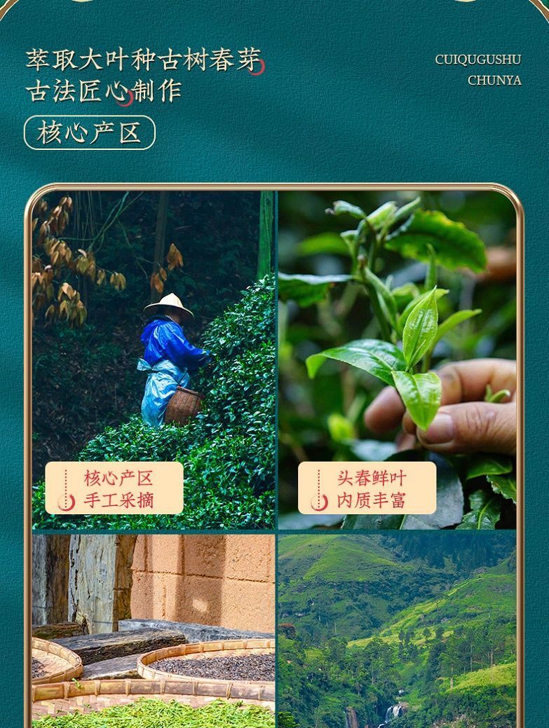 季王碎银子熟茶特级糯米香云南茶化石正宗茶叶500克送茶具普洱碎银子