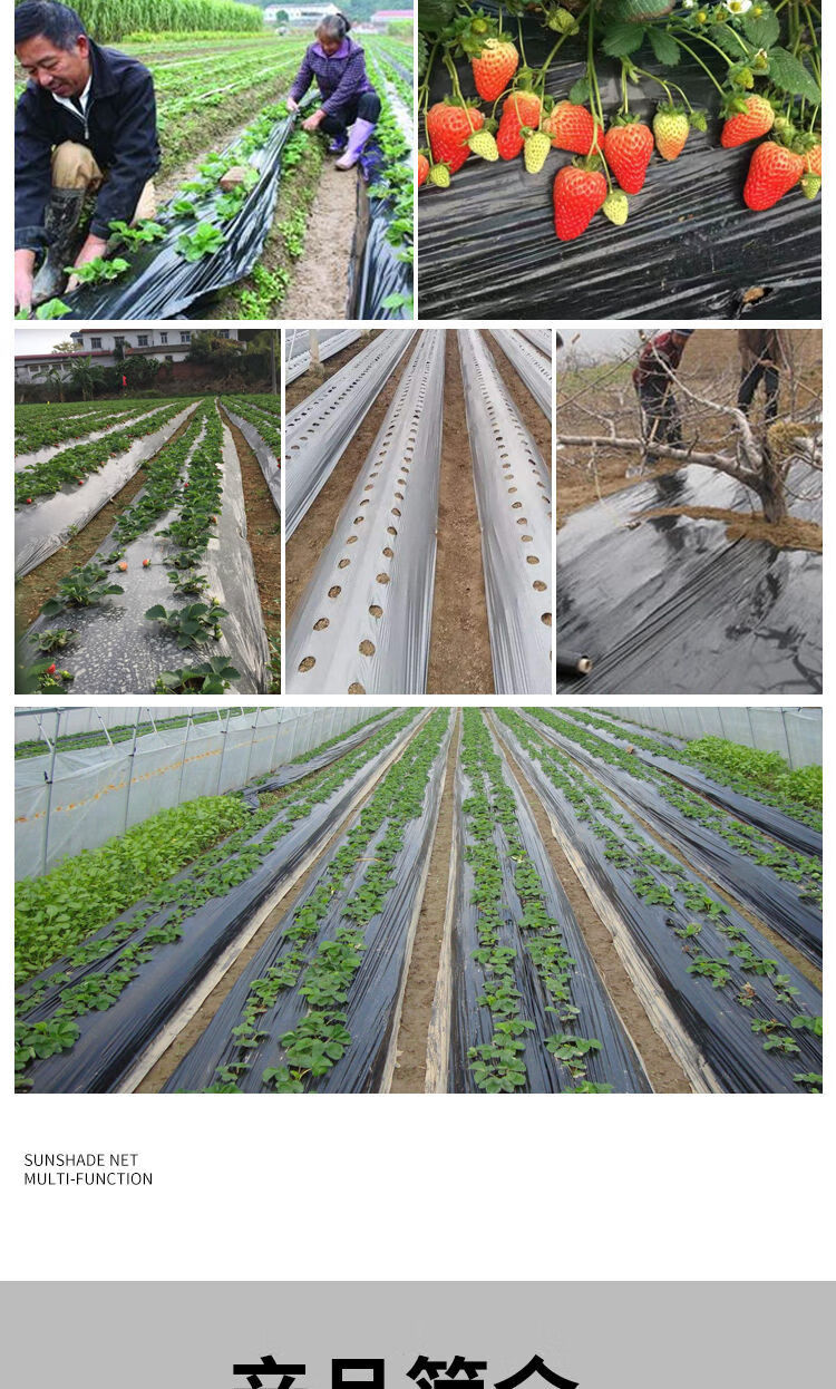高品质黑地膜除草农用加厚保温保湿蔬菜草莓种植薄膜耐磨批发20斤14丝
