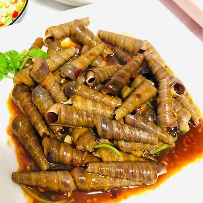 新鲜钉螺鲜活尖螺海螺丝新鲜钉螺冷冻长尾螺海锥烧烤泥螺海鲜1斤带尾