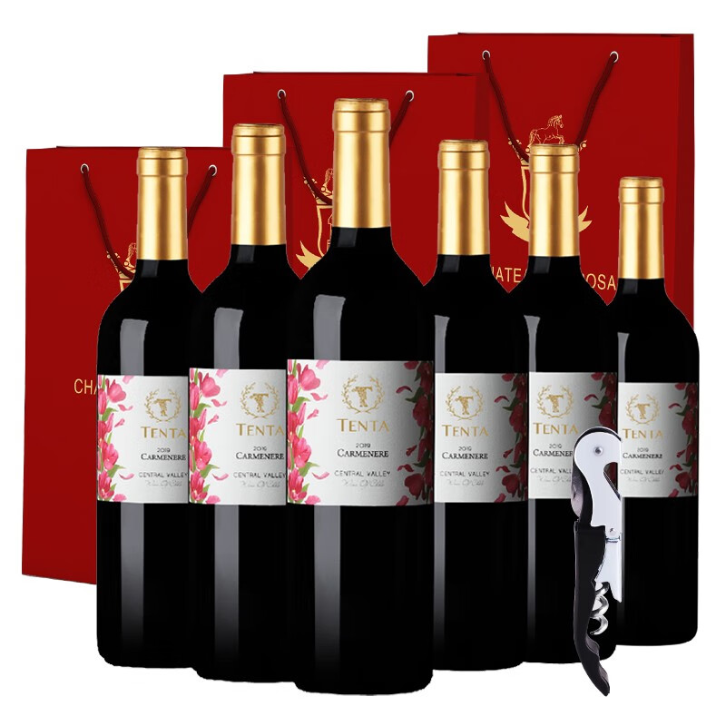 天帕（TENTA）智利中央山谷原瓶进口红酒天帕干红葡萄酒红酒13.5度750ml*6瓶 卡曼尼品种 整箱