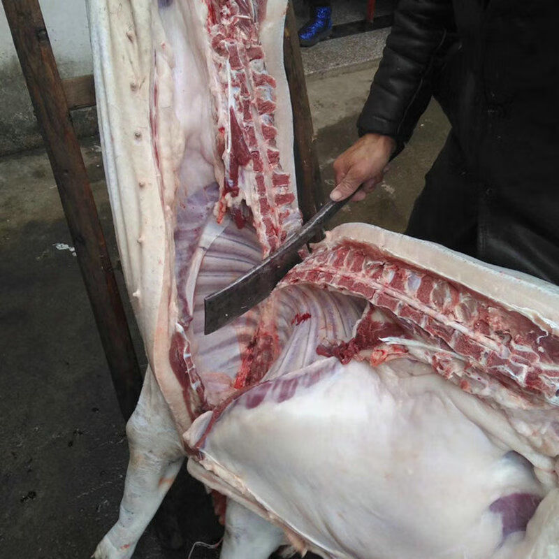 年货节猪鞭x2斤散养公猪猪鞭自家养猪猪鞭新猪鞭新鲜猪鞭冰袋发货2斤