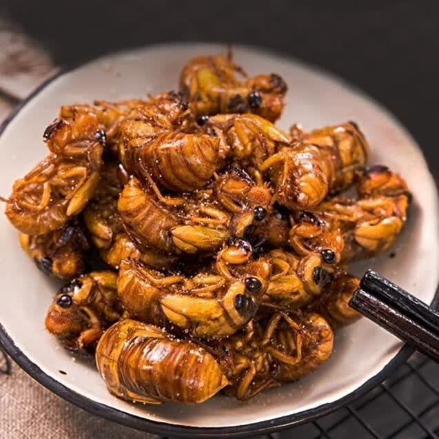 油炸知了猴山东特产炸金蝉新鲜蝉蛹即食唐僧肉香辣知了龟现炸现卖 炸