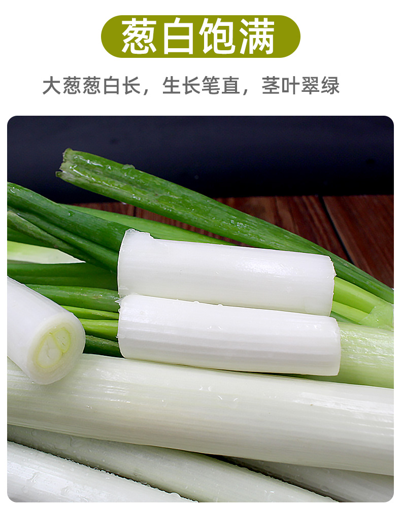 山东新鲜大葱10斤铁杆长白章丘甜葱蔬菜51500g