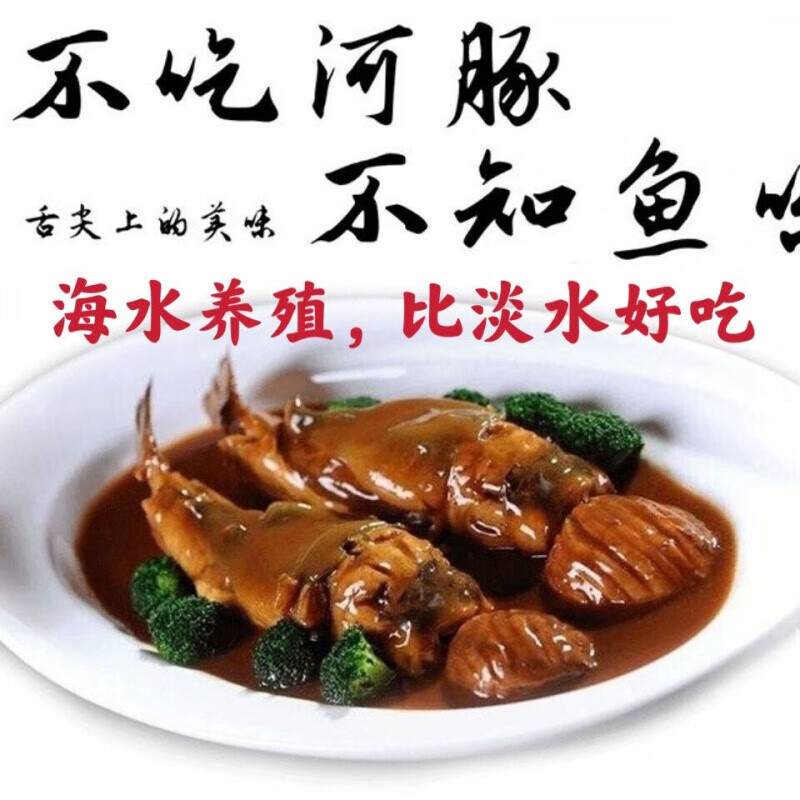 大号河豚鱼可食用已处理新肉带肝皮安全极鲜淡水鱼1斤2条装橘黄品种更