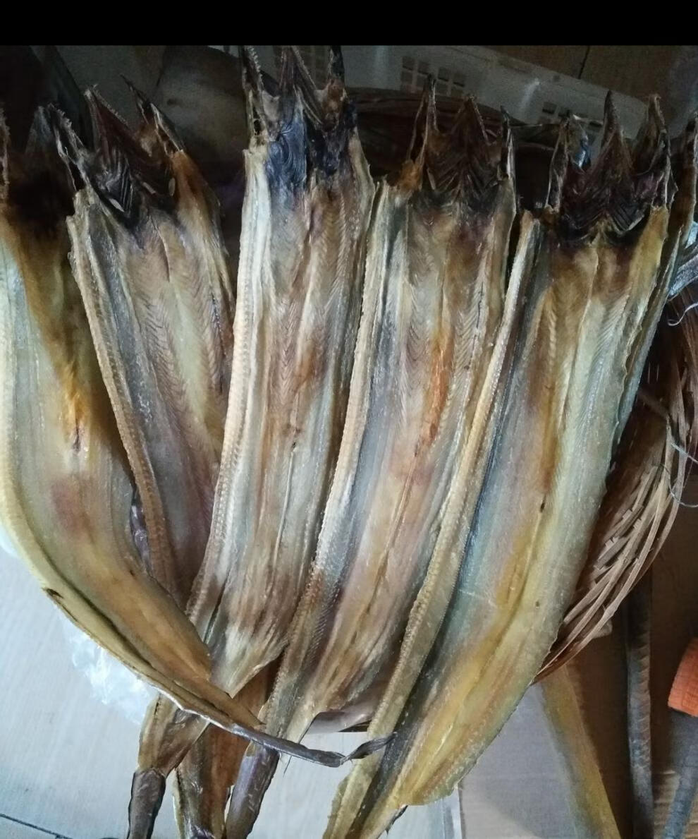 舟山海鲜特产干货新晒淡鳗鱼干船晒鳗鲞海鳗干沙鳗鲞鳗鱼肉 鳗丝250克