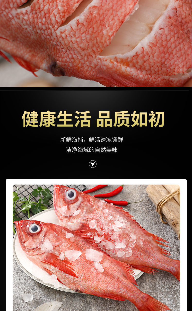 红石斑鱼整条特大鲜活大眼鱼富贵鱼大龙胆鱼速冻海捕深海鱼昌盛隆5斤
