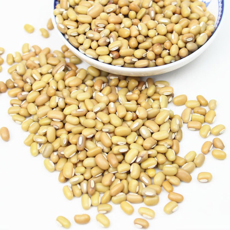 新货竹豆云南农家懒豆自产饭豆眉豆米豆豇豆江豆杂粮豆类粗粮竹豆3斤