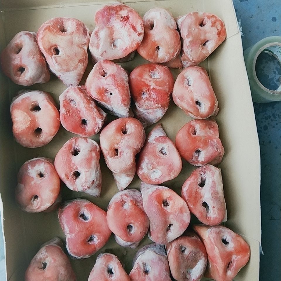 顺丰猪鼻子新鲜冷冻5斤带骨猪鼻子半成品带骨猪拱嘴猪鼻子3斤实惠装