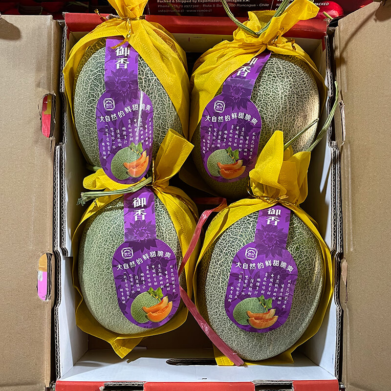 静乐鲜海南哈密瓜沙地晓蜜4只礼盒装精品25号小蜜原箱脆甜多汁当季