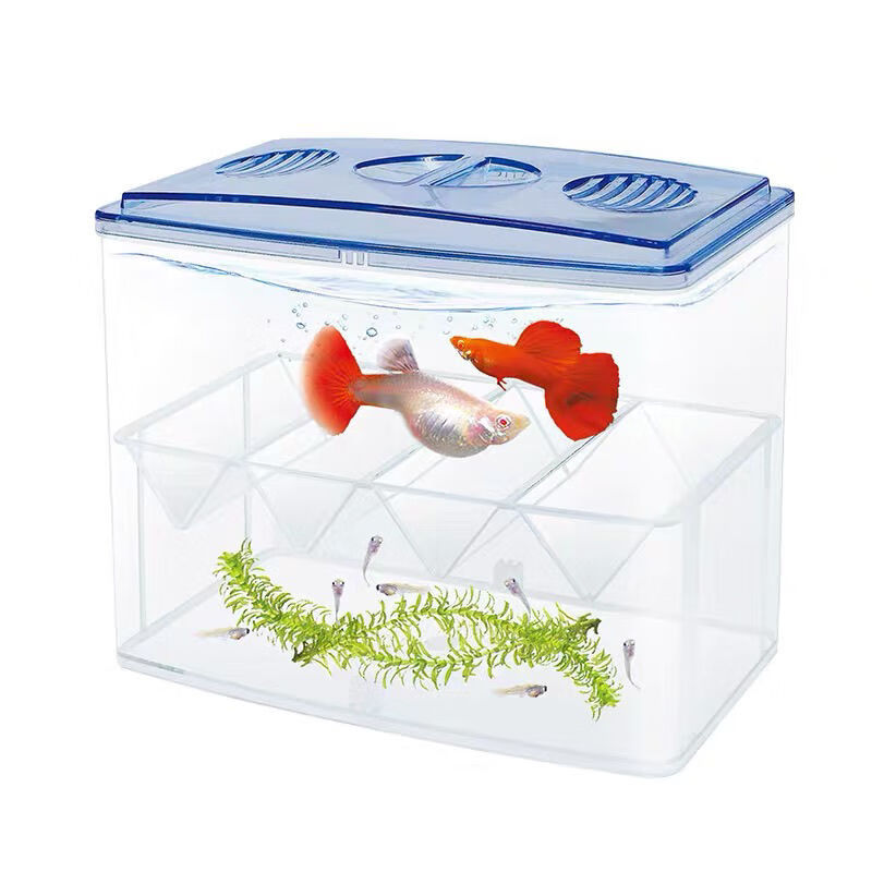 小鱼缸隔离盒观赏鱼繁殖盒孔雀鱼产卵房孵化盒二合一隔离斗鱼鱼缸缸外