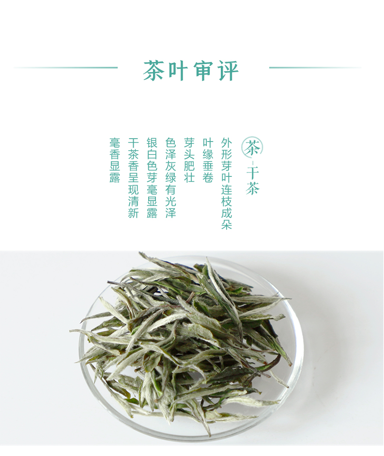 【花香白茶】品品香茶叶福鼎白茶2021年明前头采花香白牡丹精装版120
