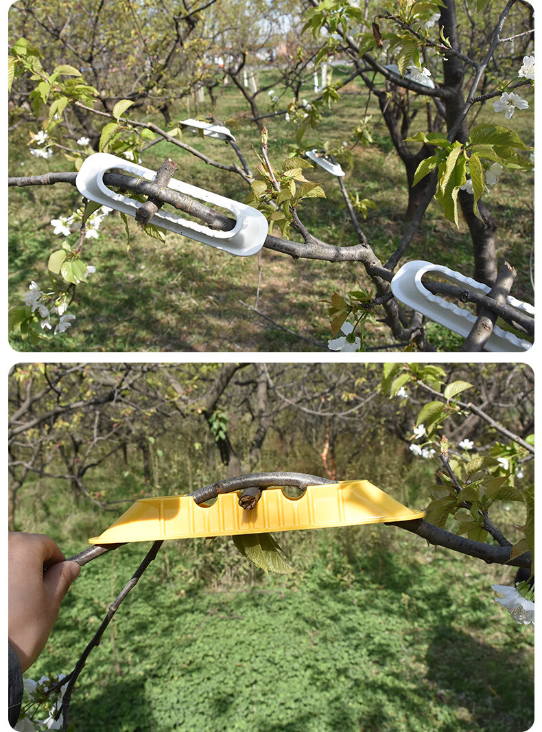 果树拉枝器拉枝神器开角器塑料拉枝器新型压枝器 165型号 100个
