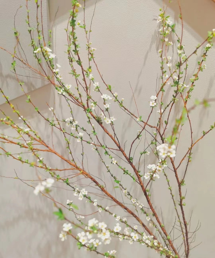 澜墨遇水开花干枝雪柳喷雪花枯木逢 干树枝春室内客厅办公室水培植物