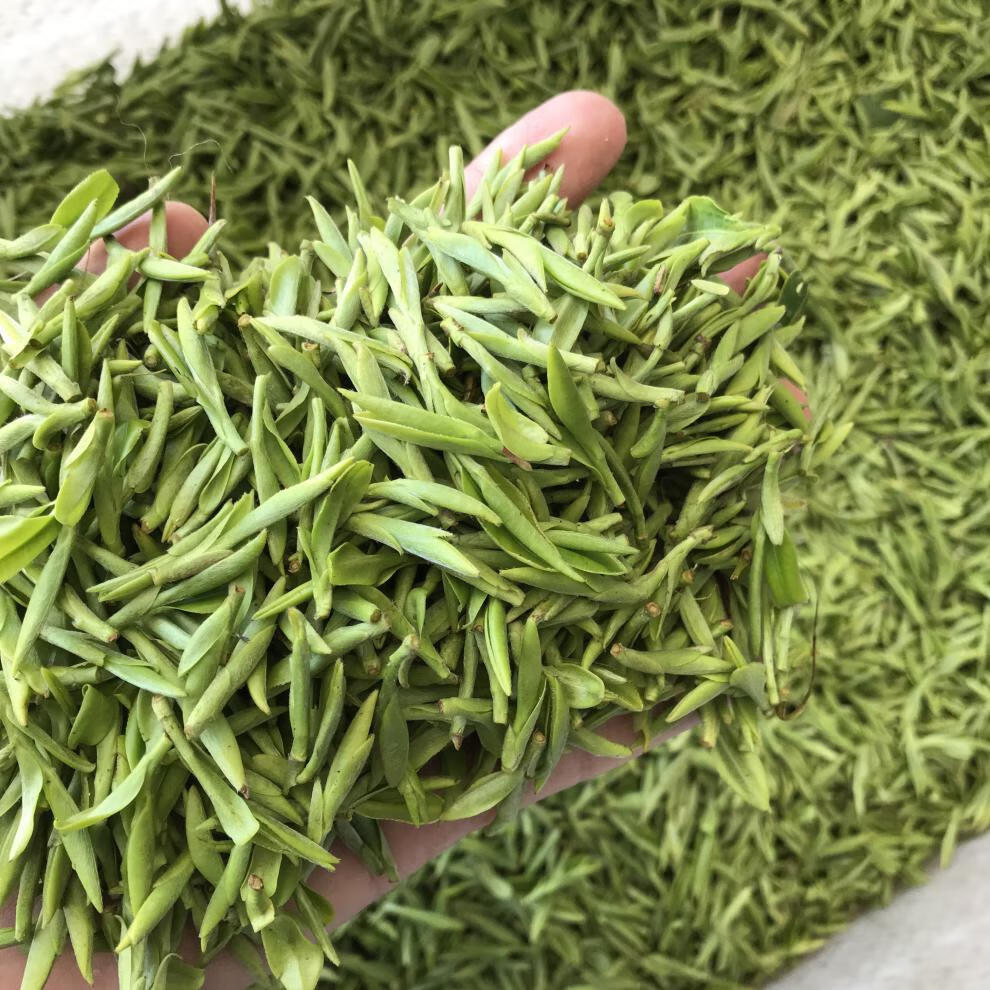 5折2022乌牛早新茶高山特级明前嫩芽散装龙井绿茶春茶250g250g