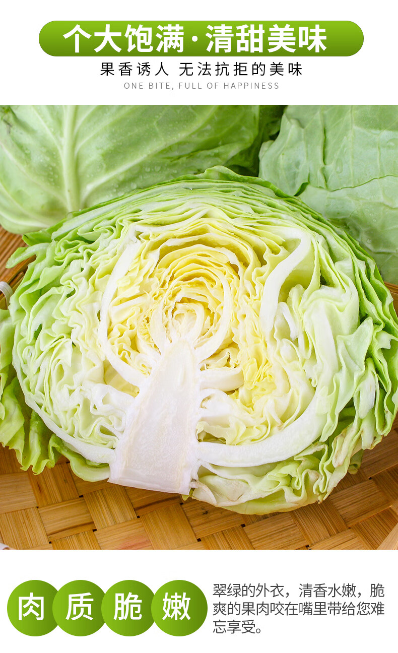 新鲜绿甘蓝卷芯包菜莲花白当季农家蔬菜洋白菜疙瘩白卷心 1500g【图片